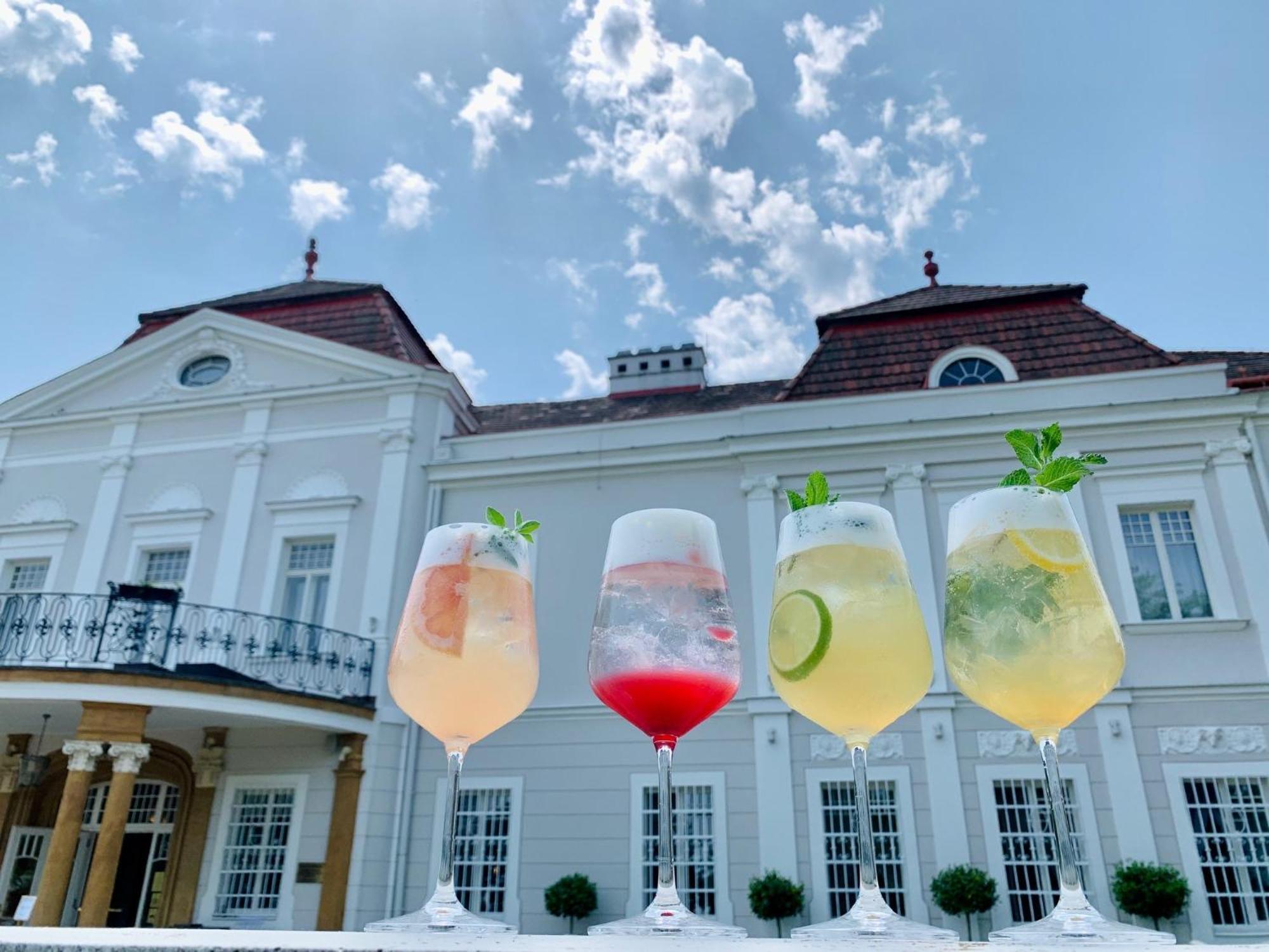 艺术庄园酒店 Tomášov 外观 照片